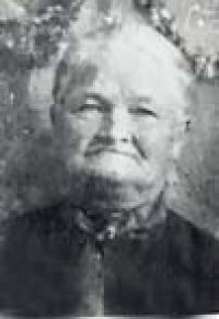 Mary Ellender Cheney (1843 - 1909) Profile
